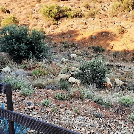 Psiloritis Apartman
